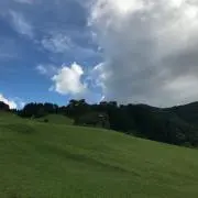 Hmlvxdromlbの画像