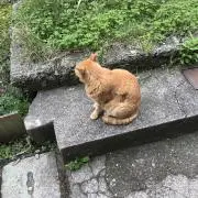 じの画像