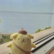 きーにょの画像