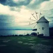 Tanaの画像
