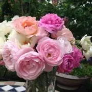 花々