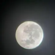 しらさぎの画像