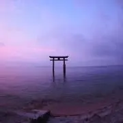 たこ軍団