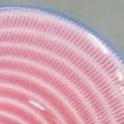 Terriの画像