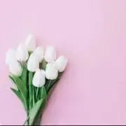 こぅ∞す†の画像