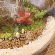 ⭐︎の画像
