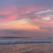 ぽんの画像