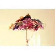 Mafu｜profile必読の画像