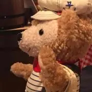 haruの画像