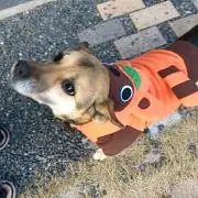 anpanmanの画像