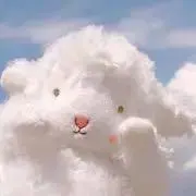 cookieの画像