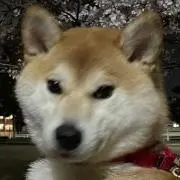 kの画像