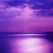 プロフ確認必須☂の画像