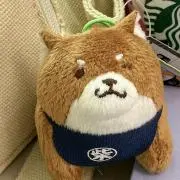Sの画像