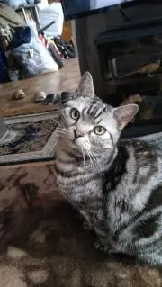 keiziの画像