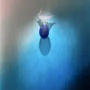 ヒッサの画像