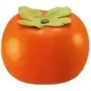 kakishivの画像