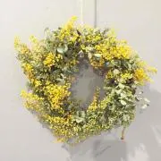 NanaN