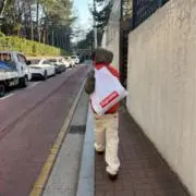 ズッキーニの画像