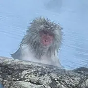 レンジャー