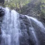 shinshinの画像