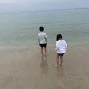 アミの画像