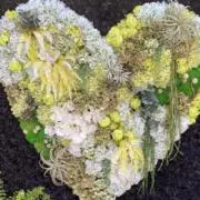 ☆ティミ☆