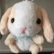ちぃの画像
