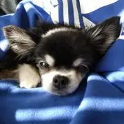 t.s.ママの画像