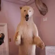 しろる。の画像