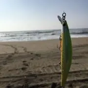 ショー