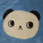Tomtomの画像