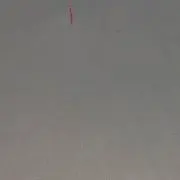 みいの画像