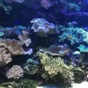 りーさん30の画像