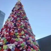 アロハ☆ゆーこ