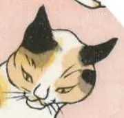 オガサケの画像