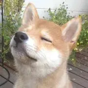 PON⭐︎即購入可⭐︎断捨離中の画像