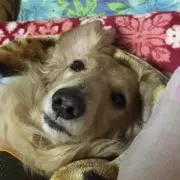 ノリ