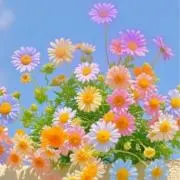 sachanの画像