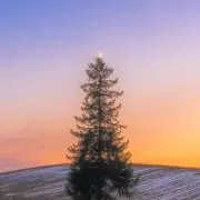 ︎︎︎︎︎☺︎の画像