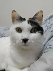 るこの画像
