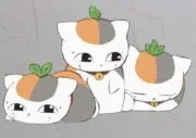 managirlyの画像