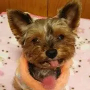 ひろひろ【必ずプロフ見てください】の画像
