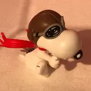 kikiの画像