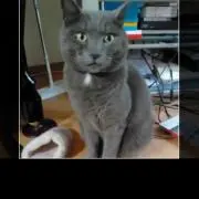 LPあきちゃん(プロフィールも見てね♡)の画像