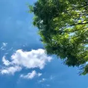 おドラムの画像