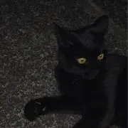 motoの画像