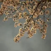 プロフィールご覧下さい。ソたの画像