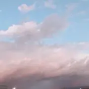 ちゃぴ。の画像