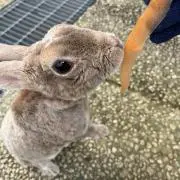 ☺︎の画像